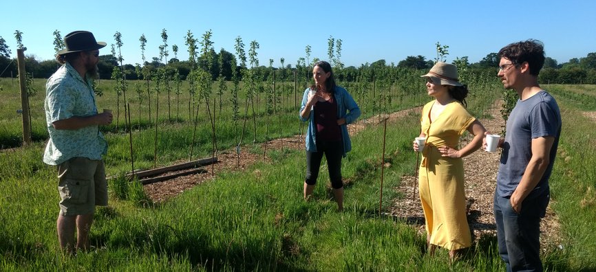 Ecological Land Coop - Tour of Cider Apple Trees - an ELC farm in Sparkford, Somerset.
