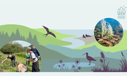A nature-themed collage with a green landscape, birds and animals in illustration, a circular photo of a waterfall/river, and a small scene of people working in a field