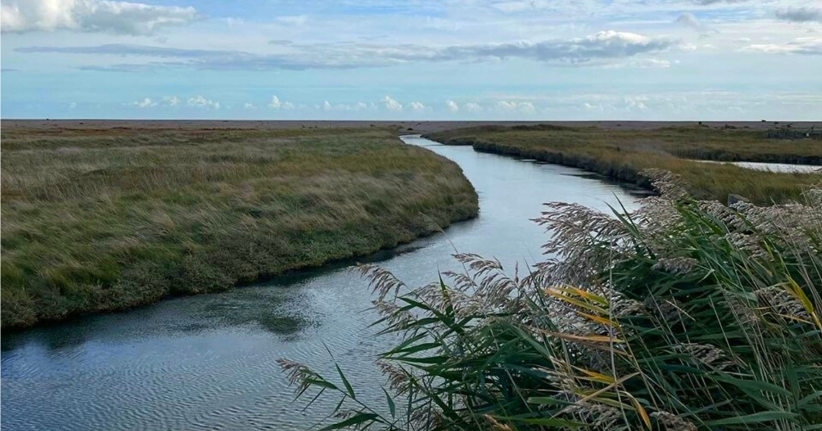 Cost of living uplift Esmée Fairbairn Foundation