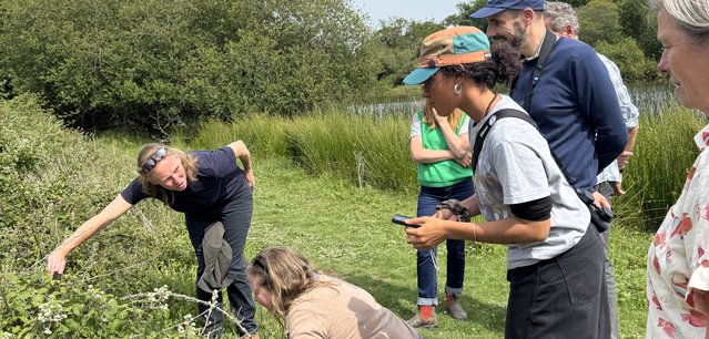 People working together outdoors in a green field, crouching and holding tools while tending plants and tying or installing lines among the grass.