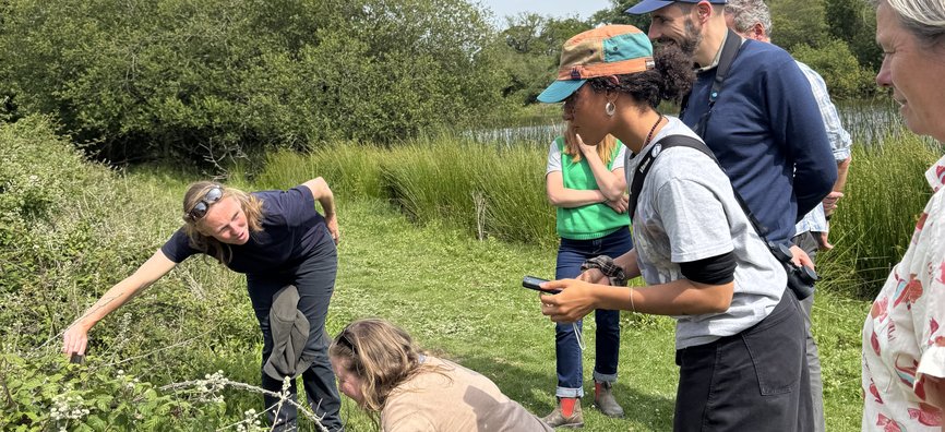 People working together outdoors in a green field, crouching and holding tools while tending plants and tying or installing lines among the grass.