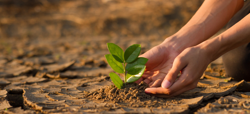 Image and Text block (4)