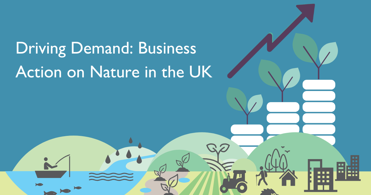 Business action on nature in the UK and guide to nature finance | Esmée ...