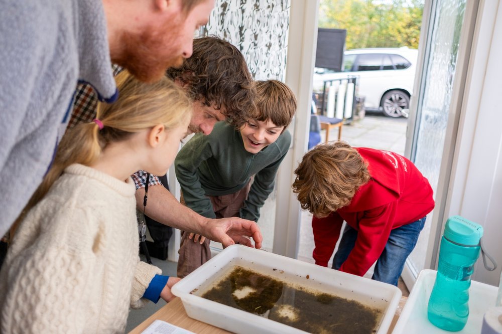 North Wales Wildlife Trust - Darganfod 'Beth sydd yn y Dŵr'. Discovering What's in the Water. (copyright www.markmcnulty.co.uk) (1)