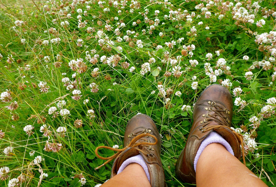 A person resting whilst hiking and flowers in a field