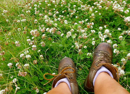 A person resting whilst hiking and flowers in a field