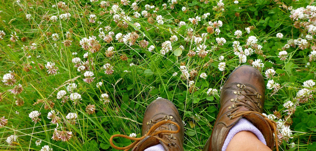 A person resting whilst hiking and flowers in a field