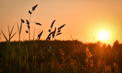 Sunset over a field in the UK