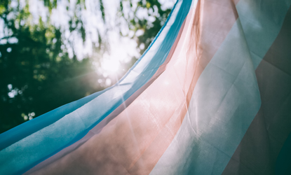 Trans pride flag