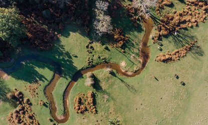 UK_Nature_04