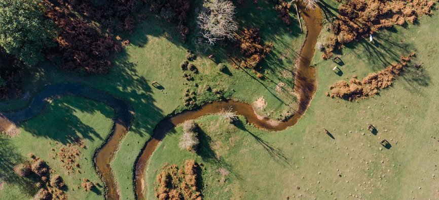 UK_Nature_04