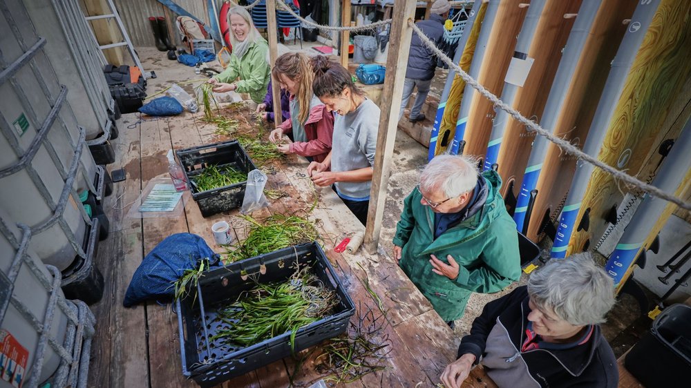 Seagrass restoration volunteers Credit Seawilding